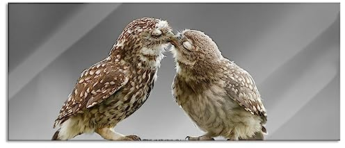 Pixxprint Glasbild Panorama, Wandbild aus Echtglas, Küssende Eulen, 120x50 cm, inkl. Aufhängung und Abstandshalter