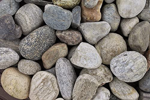 Gravier naturel lavé 5 kg de gravier de montagne grain 30-60 mm Gravier de jardin décoratif