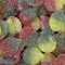 Sour Apples 1kg Share Bag by The Gourmet Sweet Company