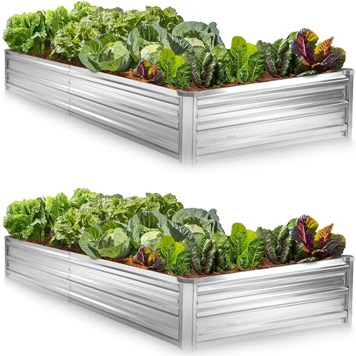 Verzinktes Hochbeet für den Außenbereich, 2 x 1 m (2er-Pack) Pflanzkästen Hochbeete für Außenpflanzen, Gemüse, Gartenarbeit // großes Metall-Hochbeet Kit (silber) // werkzeuglose Montage