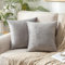 MIULEE 2er Set Samt Kissenbezug Moderne Zierkissenbezug Dekorative Kissenbezüge Weich Kissenhülle Dekohülle Couchkissen Sofakissen Dekokissen Deko für Wohnzimmer Schlafzimmer 45x45 cm Hellgrau