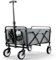 Chariot de Plage Pliable Poignée Réglable Chariot de Jardin Chariots de Transport pour Transport, Plage, Camping, Courses, Chariot de Jardinage Chariot à roulettes avec Jusqu’à 60KG (Gris)