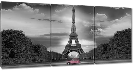 Tableau imprimé sur toile 210 x 100 cm Rose poudré en France N° H7855M_PC3BH