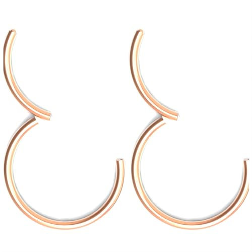 Body CAC 2PCS-20G(0.8mm) 8mm Hinged Nose Rings,Medical Implant Grade 316L Surgical Steel Segment Clicker Hoop Piercing Lip Helix Cartilage Rook Ring Earrings, Rose Gold