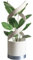 Pots de fleurs rotatifs pour l'intérieur, pot de fleurs rotatif électrique USB, pot de fleurs amusant, pot de fleurs pour grasses, décoration d'intérieur, cadeau pour les amateurs de jardinage