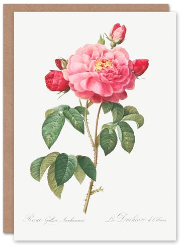 Artery8 Pierre-Joseph Redouté Art Card French Rose Vintage Botanical Illustration
