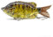 ODS Angelköder Bluegill Glider Bait schwimmende Wobbler Kunstköder mit 2 Drillingshaken zum Hecht Zander Forellen Barsch Raubfisch Angeln (A)