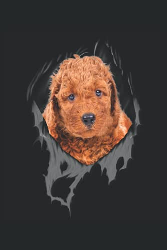 Golden Doodle Kalender 2022: Golden Doodle Kalender 2022 6x9 Zoll mit 129 Seiten