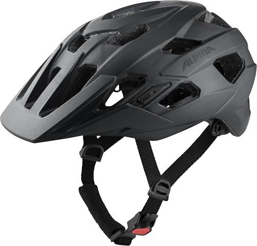 ALPINA ANZANA - Optimal Anpassbarer, Leichter & Sicherer Fahrradhelm Mit Fliegennetz & Nachrüstbarem LED Für Erwachsene, Black matt, L (57-61 cm)