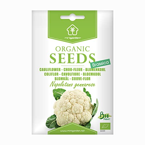 Cavolfiore Napoletano gennarese, Semi Biologici Certificati Minigarden, include tra 300 e 250 semi