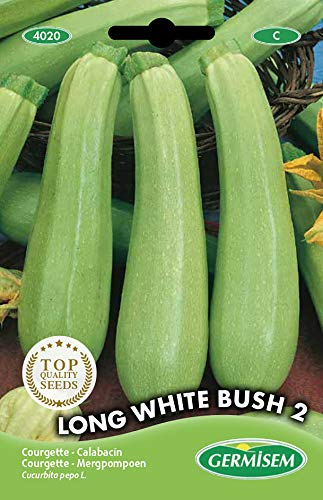 Germisem Long White Bush 2 Semillas de Calabacín 4 g (EC4020)