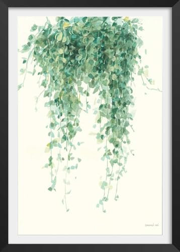 Hexoa - Póster de planta suculenta ilustrada, fabricado en Francia, 30 x 45 cm, color negro