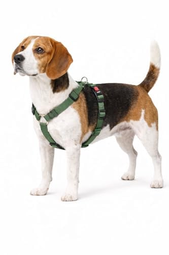 hundegeschirr - ziggi kaki H-Form - größe M - 45-65 cm / 55-70 cm - 20 mm - Nylon hundegeschirr verstellbar