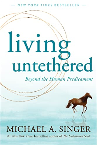 Living Untethered: Beyond the Human Predicament (English Edition)