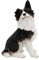 abc HOME | Dekofigur Hund | Border Collie | 35 cm H