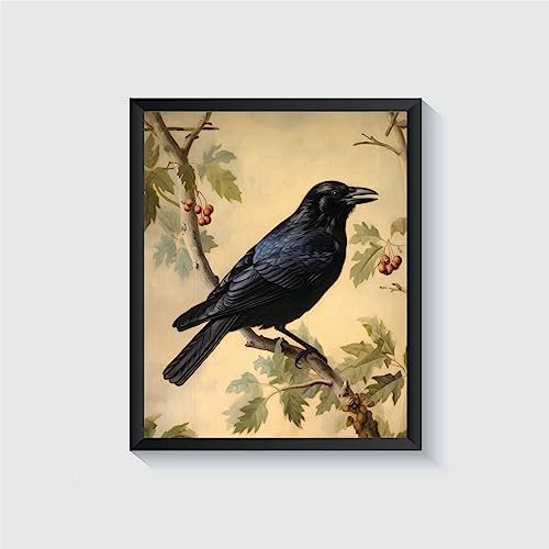 Krähe Poster Kunstdruck Retro Vintage Vogel Wandkunst Poster Dekor Natur, Vogelmotiv Vintage inspirierte Vogeldekoration (Krähe, 27,9 x 35,6 cm (ungerahmt)