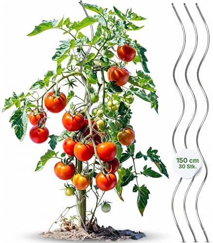 Gartenwelt Riegelsberger Tomatenspirale 150 cm – 30 Stück Tomatenstäbe aus Stahl Ø 5,6 mm, stabile Pflanzenstütze für Tomaten & Kletterpflanzen, wetterfest für Garten & Gewächshaus