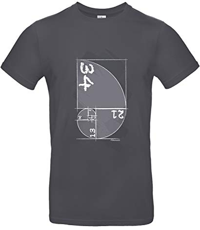 smilo & bron Herren T-Shirt mit Motiv Fibonacci Bedruckt Grau Dark Grey XL