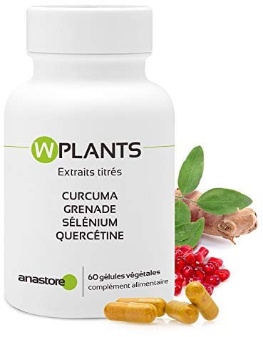WPLANTS * 317.5 mg / 60 gélules * Articulations (inflammation), Cardiovasculaire, Cerveau, Digestion (troubles gastro-intestinaux) * Garantie Satisfait ou Rembours * Fabriqué en France