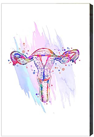 Frau Fortpflanzungssystem Uterus Medical Wandkunst Leinwand Malerei Gebärmutter Kunst Schwangerschaft Poster Drucke Ärzte Büro Dekor(40x60cm Mit rahmen)