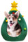 Lit de Sapin de Noël pour Chat - Niche pour Chaton et Chiot, Niche Portable pour Animaux de Compagnie pour l'intérieur | Lit pour Chat, Maison de Tente d'arbre de Noël, Maison pour Chat pour
