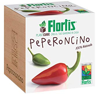 Flortis Plantcube - würfelförmiger Holztopf für Sämling, eine schöne Geschenkidee (Chilischoten)