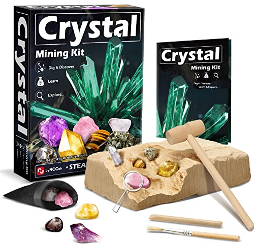 Byncceh Mineralien Ausgrabungsset, Edelstein Ausgraben Spielzeug mit 5 Geologie Steine, Grabe echte Mineralien Archäologie Experimentierset, Geschenk für Kinder ab 7 Jahre Jungen Mädchen