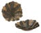 Aschenbecher rund Marihuana Black Leaf Ascher Geschenk Raucher Hanfblätter Smoker Hanf
