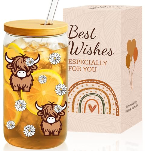VivaJoy Highland Cows Gifts for Women - Funny Cow Gift for Cow Lovers, Birthday Gifts for Women, Cute Coke Coffee Cups Glass Cups with Straw and Lid, Thanks Gift for Womens, Sister, Bestie, Friend