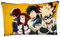CYPBRANDS CyP – My Hero Academia – Kissen, Kissen, Zubehör, Mehrfarbig, offizielles Produkt