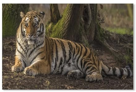 1000 Stück Puzzle，Tiger，Erwachsene Kinder Papierspielzeug Lernspiel（38x26cm）-A14