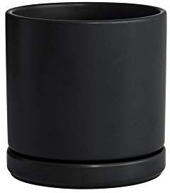 D'vine Dev Pot de Fleurs Rond en céramique avec Trou de Drainage et Soucoupe pour intérieur, 15,2 cm, Noir, 94-O-S-2