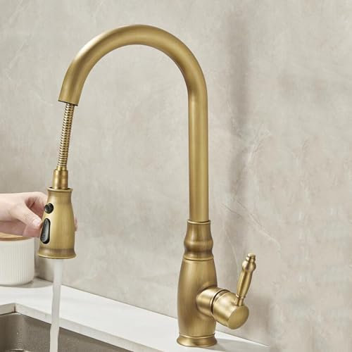 ZPSPZ Kitchen Taps with Pull Out Spray, 360° Swivel Single Hole Kitchen Sink Tap - Brass, Antique