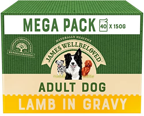 James Wellbeloved Adult Lamb in Gravy 40 Pouches, Hypoallergenic Wet Dog Food, Pack of 1 (40x150 g)