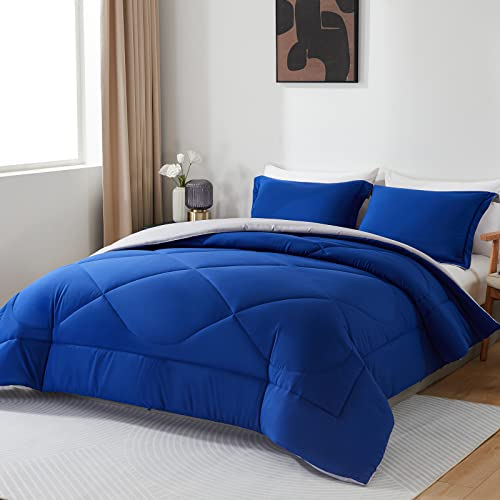 beeweed Bettdecke 240x220 Ganzjahresdecke Wende-Steppdecke 300 GSM 4 Jahreszeiten Bettdecke Duvet 220x240cm Weiche Mikrofaser Schlafdecke mit Kissenbezüge