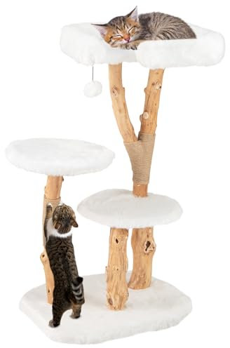 GYMAX Solid Wood Cat Tree, Modern Wooden Cat Tower with Perch, Scratching Posts, Dangling Ball, Multi-level Cat Tree for Indoor Cats Kittens