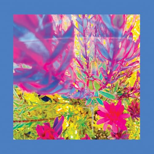 The Past is a Garden I Never Fed (NEON PINK VINYL)