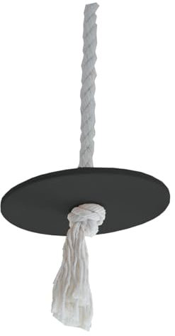 Tellerschaukel Rundschaukel Schaukelplatte Schaukelteller Kinderschaukel für Spielplatz Garten schwarz