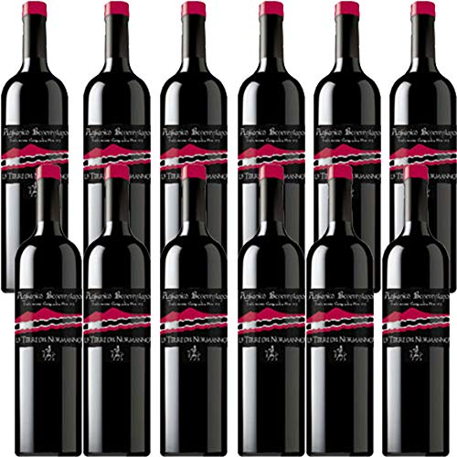 Aglianico del Beneventano | Le Terre del Normanno | 12 Bottiglie 75cl | Vino Rosso Campania | Idea Regalo