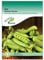 Pea Seeds for Planting UK - Kelvedon Wonder - 100 Seeds