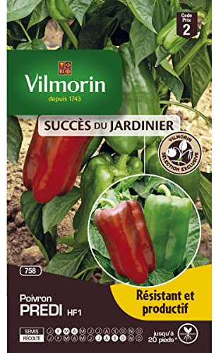 Vilmorin Graines de poivron predi
