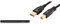 Behringer U-Phoria Umc1820 & Amazon Basics - Cavo Usb 2.0, A-Maschio A B-Maschio, Con Connettori Placcati In Oro (3 M)