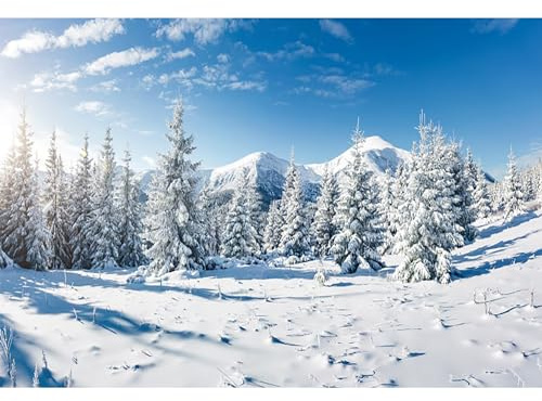 MIRRORANG 4,5x3m Christmas Wall Art Winter Forest Landscape Backdrop Outdoor Snow Scene Pine Tree Frozen Wall Decor Background for Photography Xmas Photo Backdrop, Vinyl