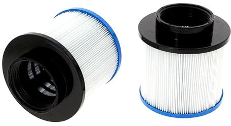 Darlly Filtre Spa Lot de 2 (40059 / B Cool - Ospazia - Aquaspa - Hespéride)