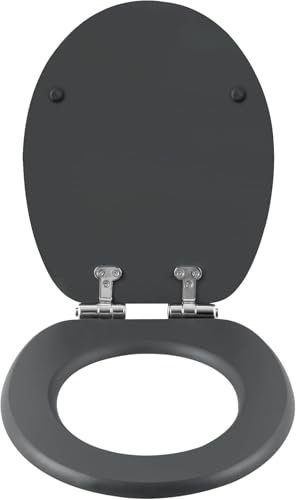 eSituro Toilettendeckel mit Absenkautomatik Holz, WC Sitz mit Quick-Release-Funktion für leichte Reinigung, einfache Montage, antibakterieller Toilettensitz Motiv, MDF (Anthracite 1)