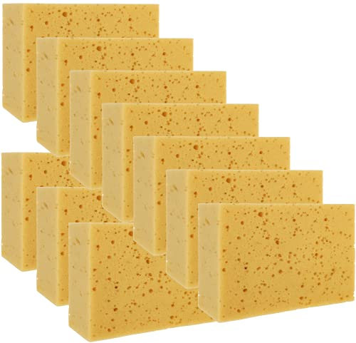 Alfa Auto Waschschwamm 10 Stück besonders saugstarker Allzweckschwamm, lackschonende Autoreinigung Autopflege