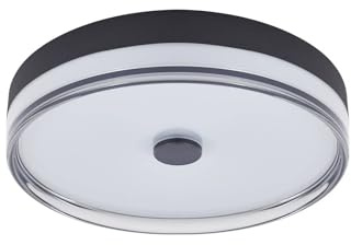 Lindby LED Deckenleuchte Aldorin dimmbar (Modern) in Schwarz (1 flammig,) - Lampe Deckenlampe Wohnzimmerleuchte