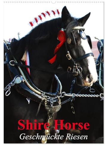 Shire Horse - Geschmückte Riesen (Wandkalender 2026 DIN A2 hoch), CALVENDO Monatskalender: Traditionell geschmückte Shire Horse (CALVENDO Tiere)