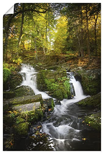 ARTLAND Wanddeko Poster & Kunstdrucke Wandposter 60x90 cm Hochformat Natur Wald Bäume Farn Moos Bach Wasserfall Harz U4PG