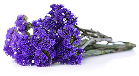 Statice viola, lavanda di mare, rosmarino di foglie di tacca, rosa mare, lavanda di mare ondoso - semi